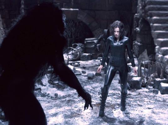 For example I love this against all common sense.